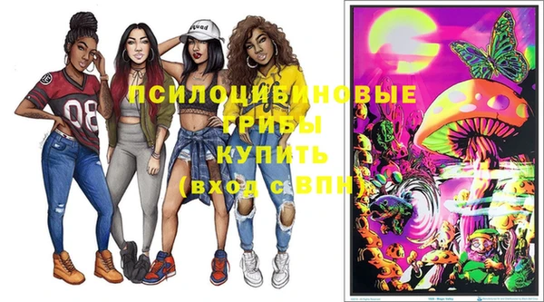 PSILOCYBIN Абдулино