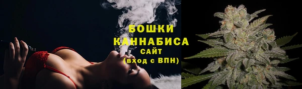 PSILOCYBIN Абдулино