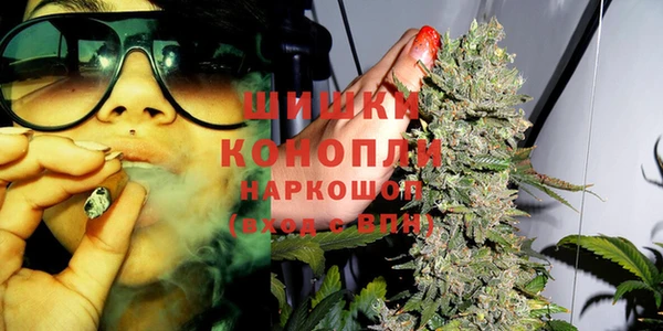 PSILOCYBIN Абдулино