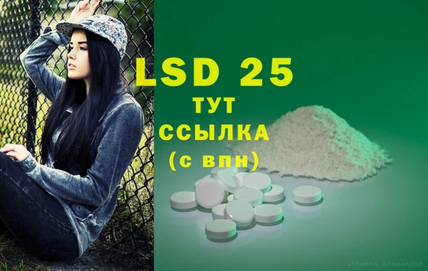 PSILOCYBIN Абдулино