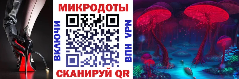 купить   ОМГ ОМГ   Псилоцибиновые грибы Psilocybe  Дербент 