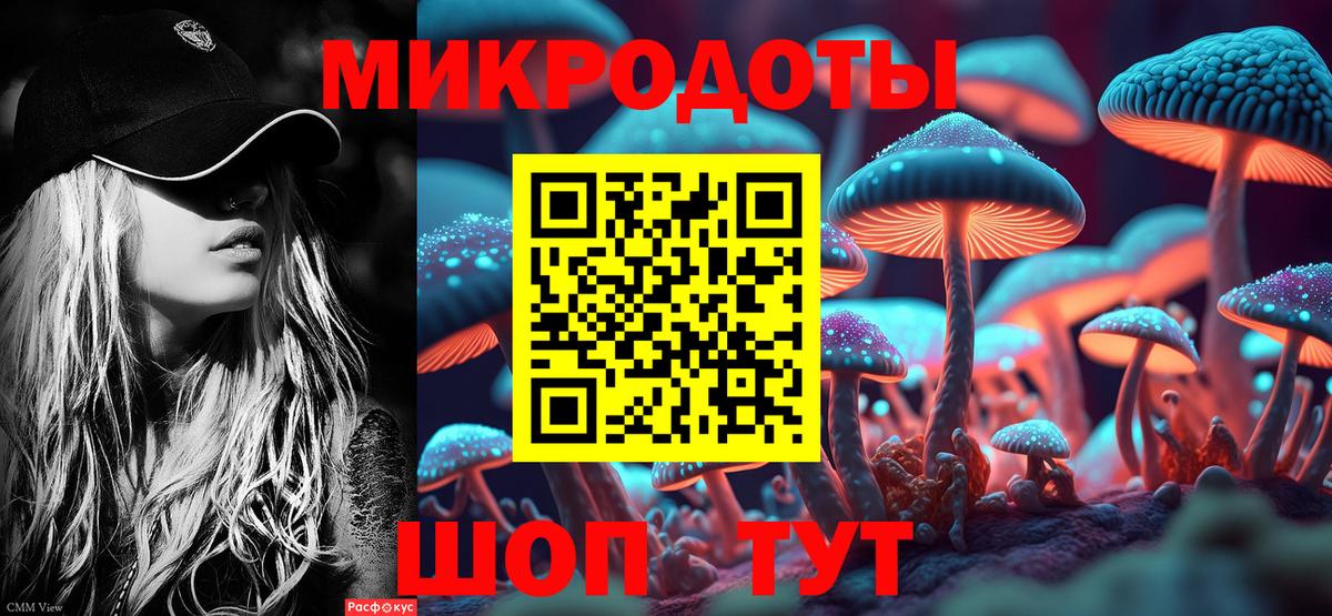 Псилоцибиновые грибы GOLDEN TEACHER  Вход с VPN  Дербент 